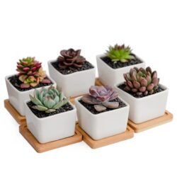 Square Ceramic Flower Planter Pot