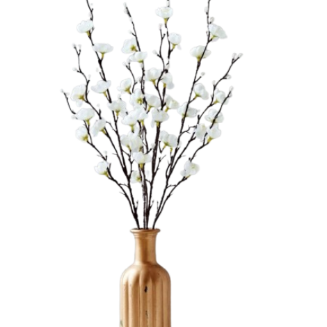 IMG_4834-removebg-preview